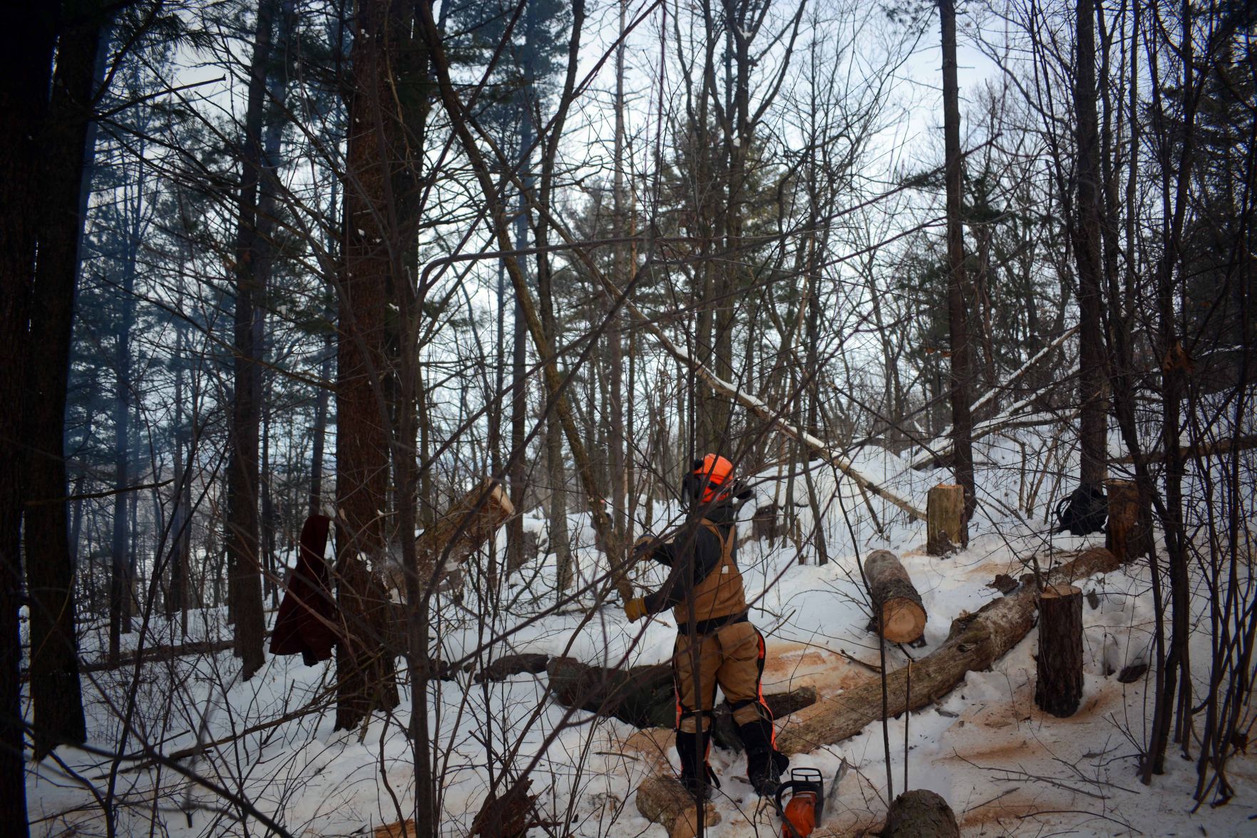 Devil's Lake east bluff stewardship work